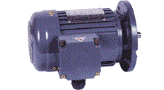 CV..S城邦立式標(biāo)準(zhǔn)ICE三相鋁殼剎車馬達